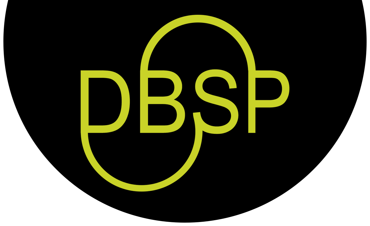 DBSP bvba